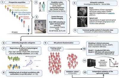 Confounder-adjusted MRI-based predictors of multiple sclerosis disability